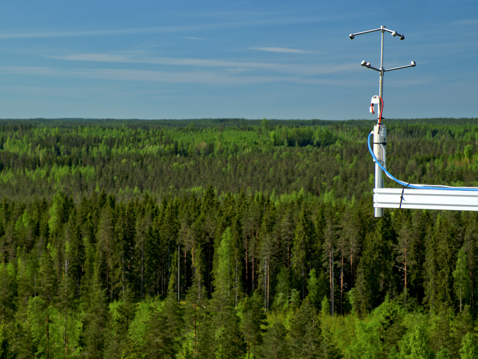 Valokuva: Hiilidioksidivuota mittaava 3D-anemometri Hyytiälän mäntymetsän yllä.