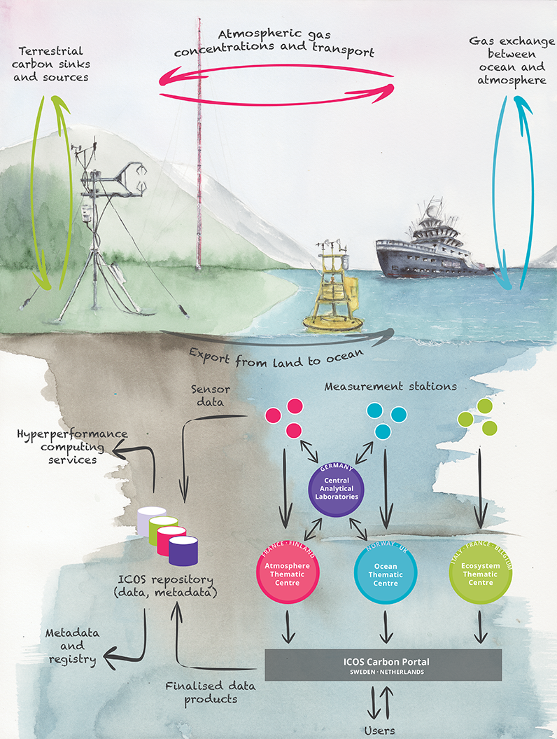 Schematic figure of the carbon cycle and related data collection process and user access to all the data via the Carbon Portal.