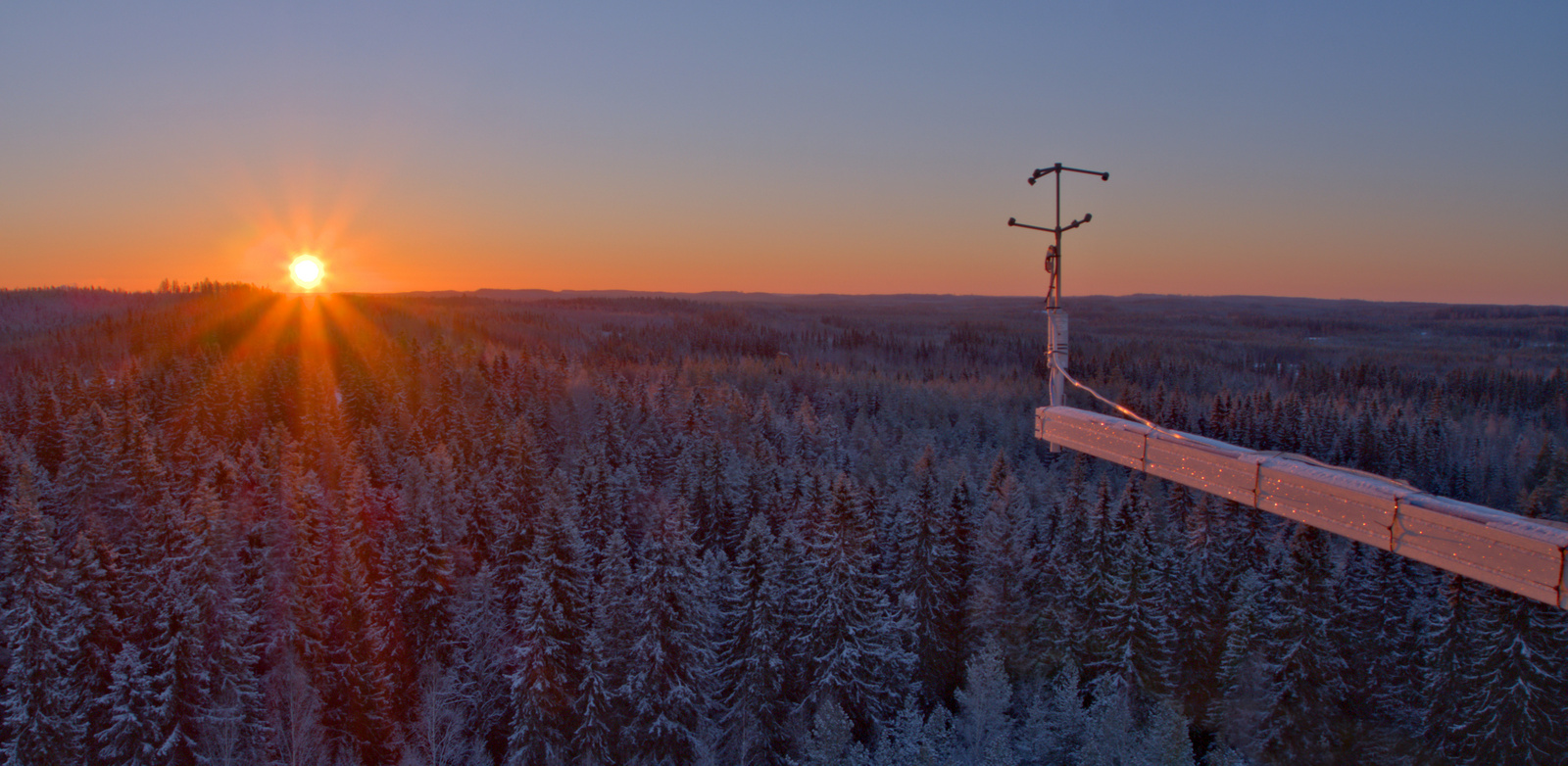 Landscape at Hyytiälä forest. Photo by Juho Aalto